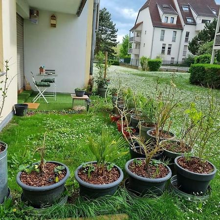 L'Univers Au Blanc. Strasbourg Eksteriør bilde
