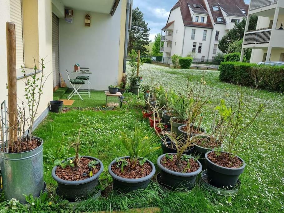 L'Univers Au Blanc. Strasbourg Eksteriør bilde